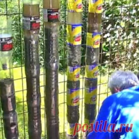 У него было 5 соток земли и большое количество пластиковых бутылок… - МирТесен