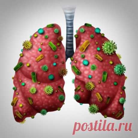 Симптомы грибка в легких: опасность патологического процесса | upulmanologa | Яндекс Дзен