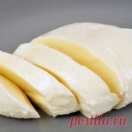 Домашняя моцарелла из 2-х ингредиентов: вкуснее магазинной, а готовится за полчаса! Купить качественный сыр моцарелла часто бывает сложно. Гораздо проще сделать моцареллу на кухне из обычного молока: на приготовление одного из самых простых в производстве сыров уходит всего около получаса.