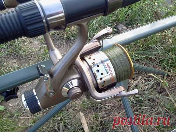 Как выбрать карповую катушку / Богатая добыча