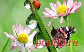 Природа обои на рабочий стол - страница 281
