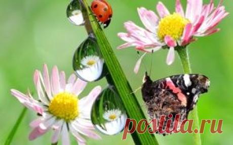 Природа обои на рабочий стол - страница 281