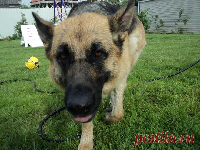 кто не верит что я выросла ?