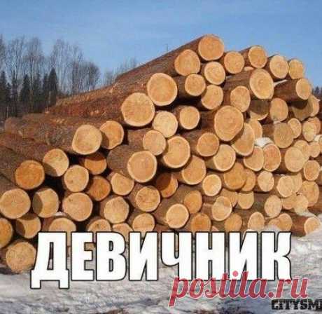 Анекдот с, пошлый и матерный, моралистам не читать