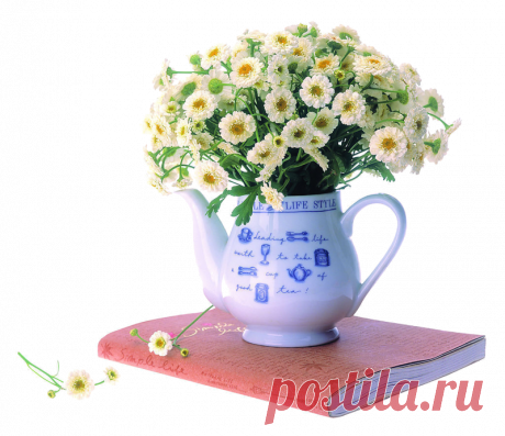 разные по теме картинки на прозрачном фоне