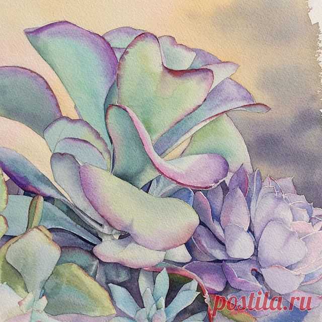 Суккуленты.  Вот такие суккуленты растут в огромных горшках в саду Франсуа в Прео-дю-Перш. Душевный сад. С удовольствием посетила бы еще... Le Jardin François à Préaux-du-Perche. #рисую_все_что_вижу #art #artwork #paint #painting #draw #drawing #watercolor #watercolorpainting #acuarela  #aquarelle #topcreator #art_we_inspire #process_of_creativity #art_dnevnik #inspiring_watercolors #waterblog #arts_help #skrien #fleurs #flowers #succulentus #suculenti #цветы #акварель #су...