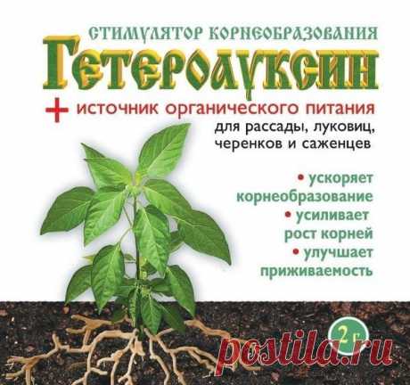 Гетероауксин - инструкция по применению