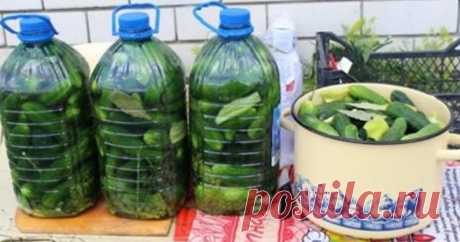 Солим огурчики в пластиковых бутылках! Получаются настоящие бочковые огурцы, потрясающе вкусно! - СУПЕР ШЕФ