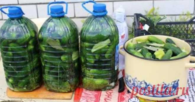 Солим огурчики в пластиковых бутылках! Получаются настоящие бочковые огурцы, потрясающе вкусно! - СУПЕР ШЕФ