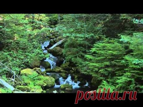 Божественный дудук (Дживан Гаспарян-1)