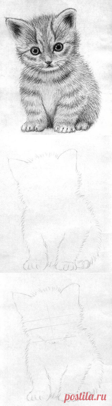 Рисуем маленького котёнка
