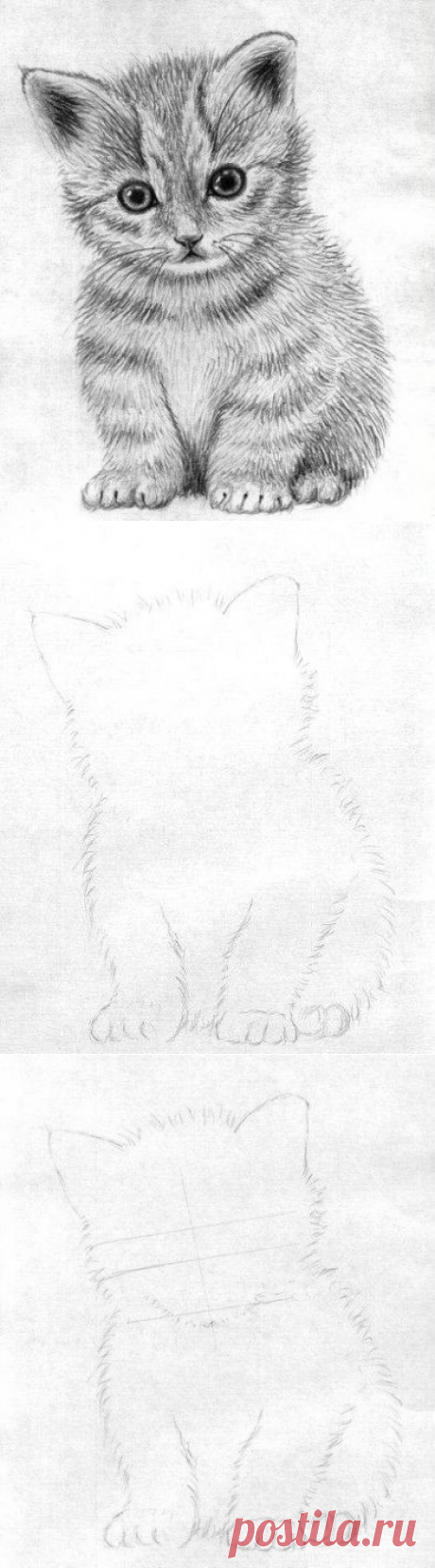 Рисуем маленького котёнка