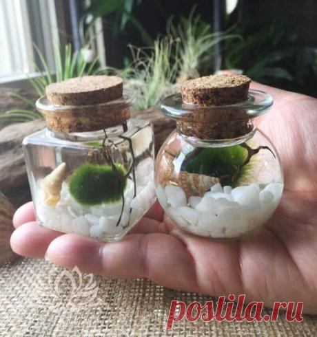 Миниатюрный аквариум как элемент декора