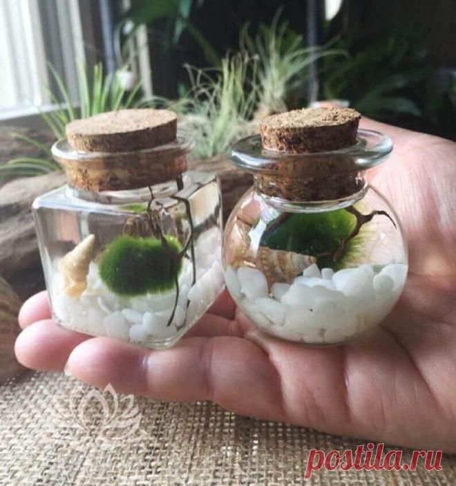 Миниатюрный аквариум как элемент декора