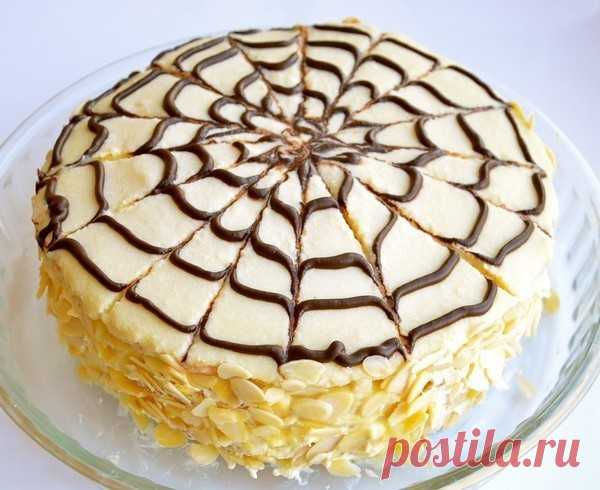 (92) Одноклассники