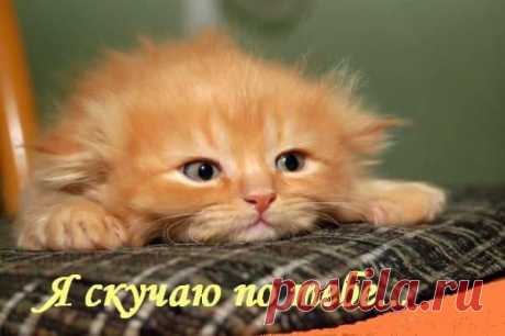 Интересные новости