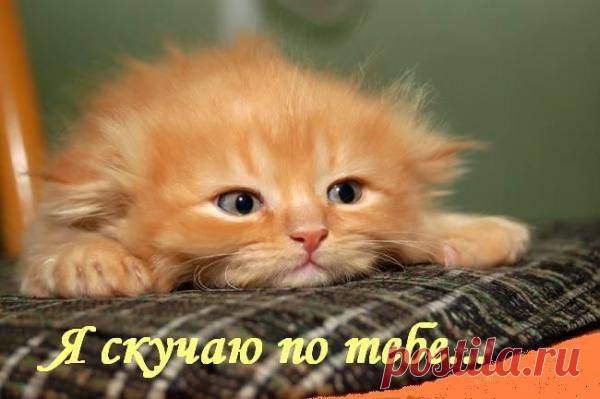 Интересные новости