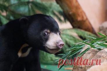 Активный Гражданин - проект для тех, кому важно, что происходит в Москве