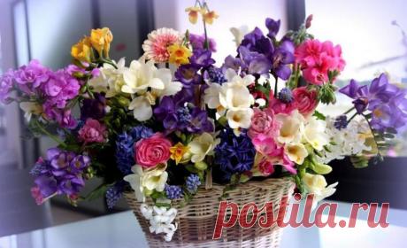 Цветы с капризами: советы как продлить жизнь в вазе 19 разным цветам