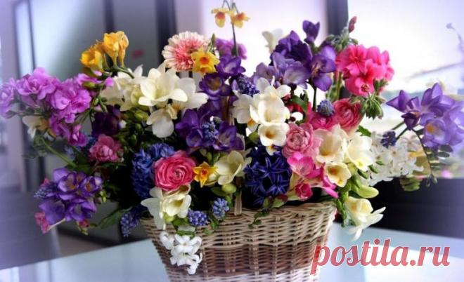 Цветы с капризами: советы как продлить жизнь в вазе 19 разным цветам