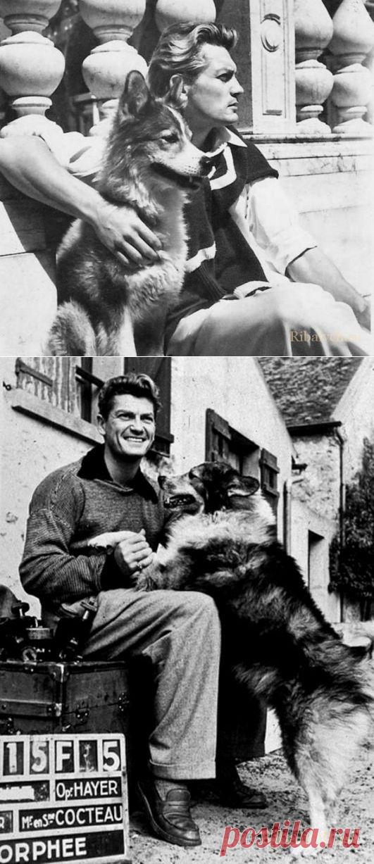 Жан Маре. Его любили женщины, а он любил собак.