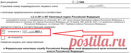 Предпенсионерка и справка предпенсионера. Чем для нее могут быть полезны эти справки. | Самремстрой | Яндекс Дзен