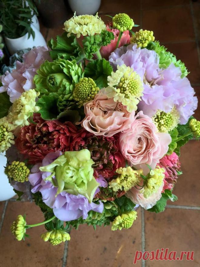 флористика