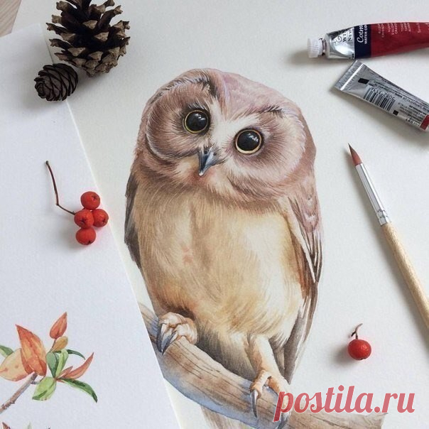 Одноклассники