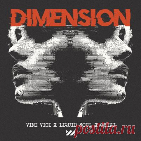 Liquid Soul, Omiki, Vini Vici – Dimension (Extended Mix)
