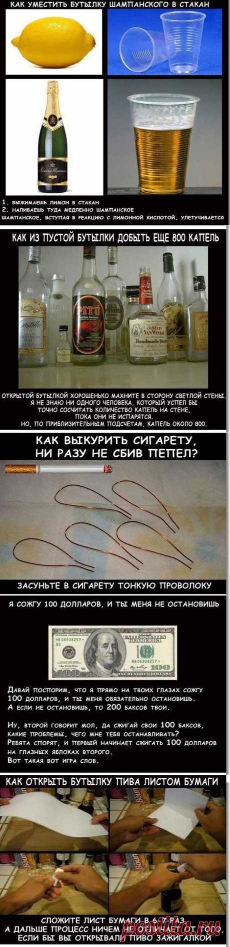 Выиграть спор? Легко! / Научный хит