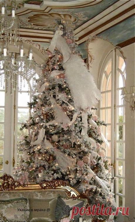 (36) Ухание в Мрака