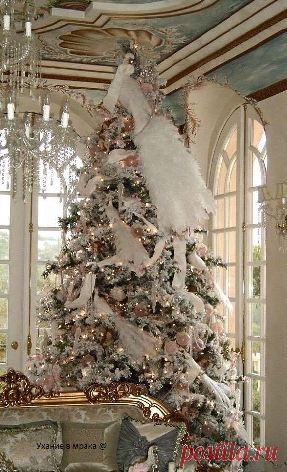 (36) Ухание в Мрака