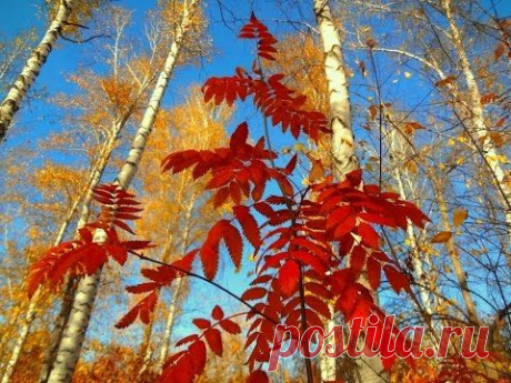 Календарная осень! - Красивое осеннее слайд-шоу! - YouTube