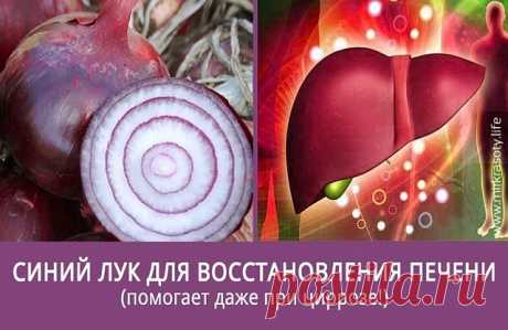 Если вас часто беспокоит печень

Сейчас многие жалуются на проблемы с печенью. Есть очень простой и дешёвый способ восстановить её.

Для этого 1 кг синего (!) лука пропускают через мясорубку, смешивают с 850-900 г сахарного песка, настаивают в прохладном темном месте 1,5 недели и отжимают.

Принимают от 3 до 8 столовых ложек в день в зависимости от тяжести заболевания.

Если состояние критическое, то можно пить уже через 3 дня после приготовления.

Рецепт проверен на больн...