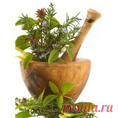 Увеличение груди в домашних условиях - массажем, упражнениями, рецепты, маски / Как увеличить грудь в домашних условиях Сегодня существует довольно много опасных методов, которые способны серьезно навредить женскому здоровью.