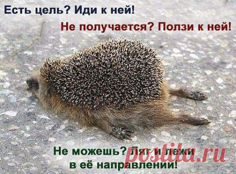 Есть цель?