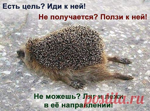 Есть цель?