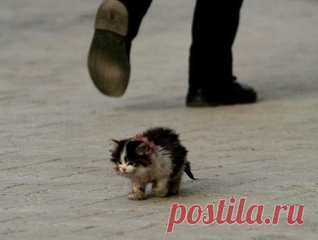 Он шел по улице и тихо плакал...