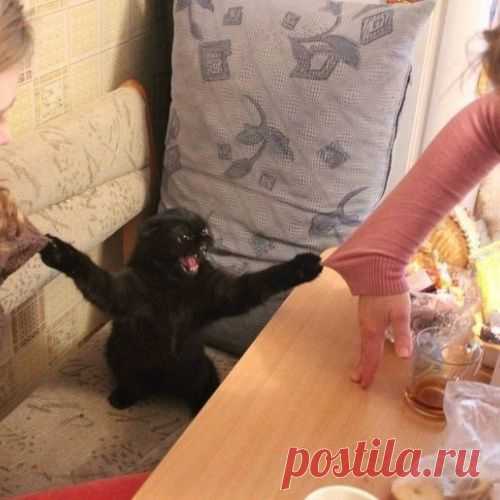 Всем оставаться на своих местах!