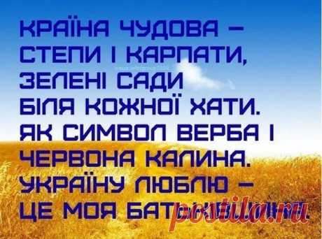 Новини