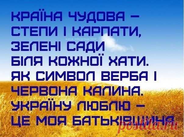Новини