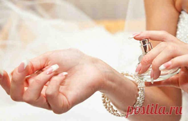 Как понять еще до покупки, что парфюм вам подходит? Три простых правила!
