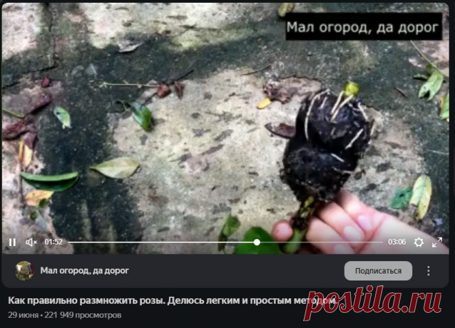 Яндекс