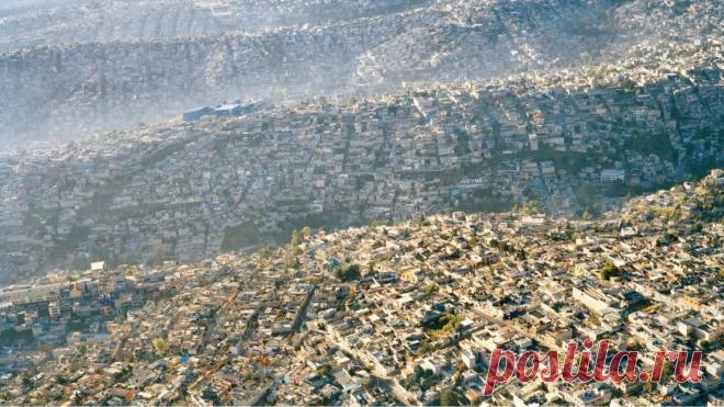 Популярные мифы, которые развенчала современная наука | Наука и жизнь