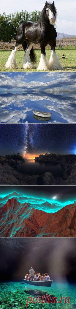 Одноклассники