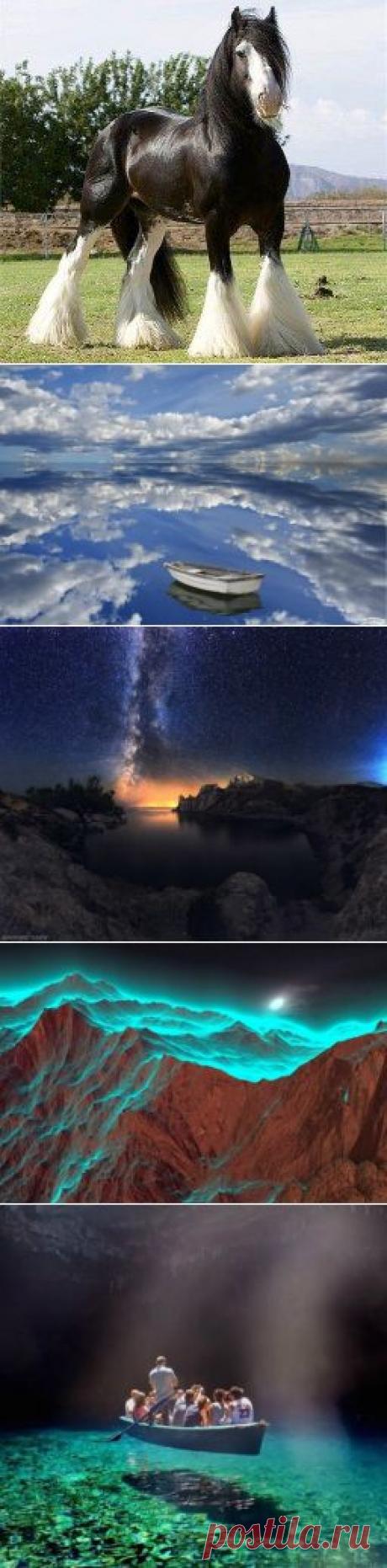 Одноклассники