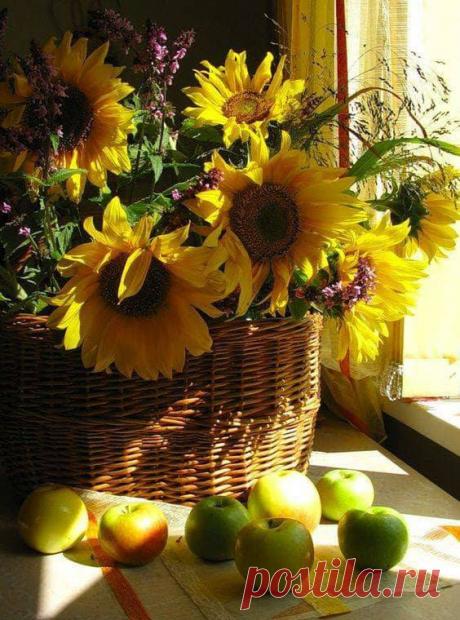 Осенний букет - он особого цвета... В нём краски и запах ушедшего лета. В нём-щедрость природы и нежность её.И в нём восхищенье твоё и моё!!!