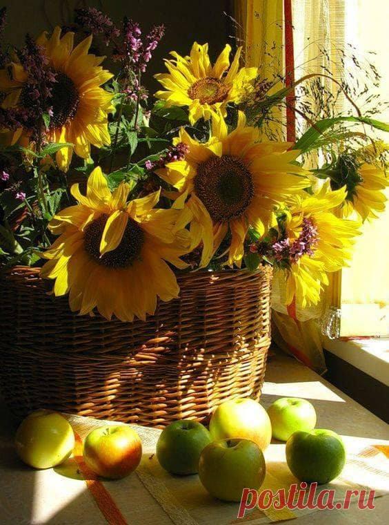 Осенний букет - он особого цвета... В нём краски и запах ушедшего лета. В нём-щедрость природы и нежность её.И в нём восхищенье твоё и моё!!!