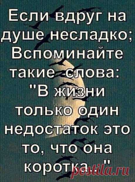Фото группы Пожелания доброго утра и доброго дня.