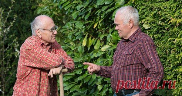 100 ошибок, о которых жалеют дачники – не повторяйте их!